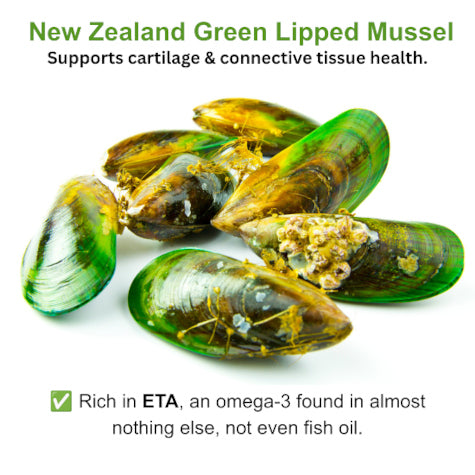 Several green New Zealand green-lipped mussels on a white background with promotional text above and below. The text claims they support cartilage and connective tissue health and are rich in ETA, an omega-3 found in almost nothing else, not even fish oil.